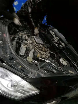 540116110913084498.jpg